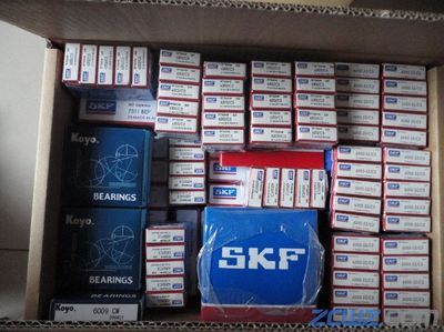 【徐水軸承 徐水nsk軸承 進(jìn)口skf軸承 ntn進(jìn)口軸承徐水】_徐水軸承 徐水nsk軸承 進(jìn)口skf軸承 ntn進(jìn)口軸承徐水價(jià)格_徐水軸承 徐水nsk軸承 進(jìn)口skf軸承 ntn進(jìn)口軸承徐水廠家-到中華軸承網(wǎng)