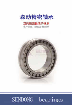 通江縣NSK與NTN軸承等級(jí)查詢指南 以E2.6309-2Z-C3為例